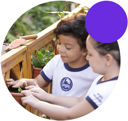 Sustentabilidade: Nosso Compromisso com o Futuro