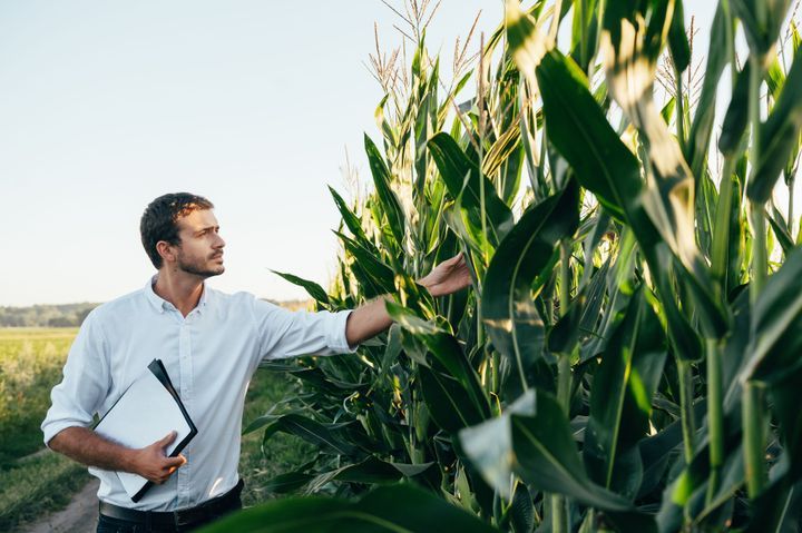 Agronomia - Bacharelado Presencial