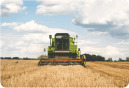 Agricultura e Veterinária