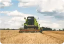 Agricultura e Veterinária